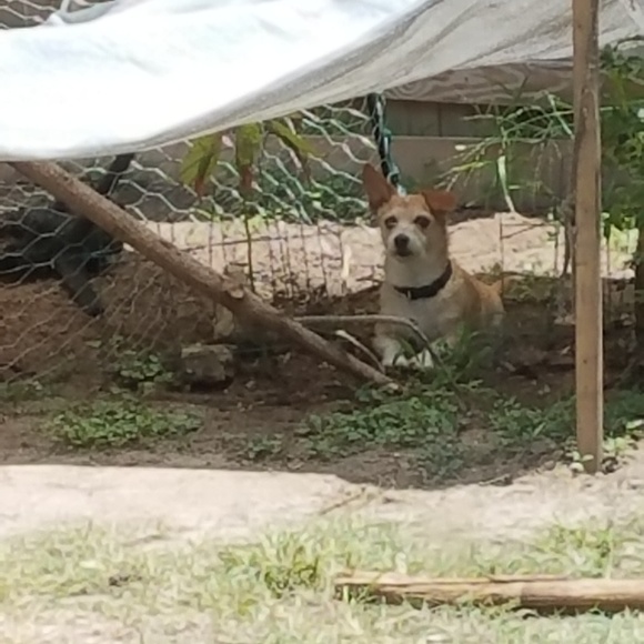 Meet your Posher, Chris - Picture 5 of 12